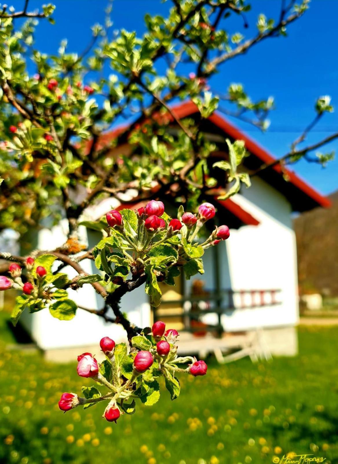 Kosta'S Romantic House Plav Værelse billede