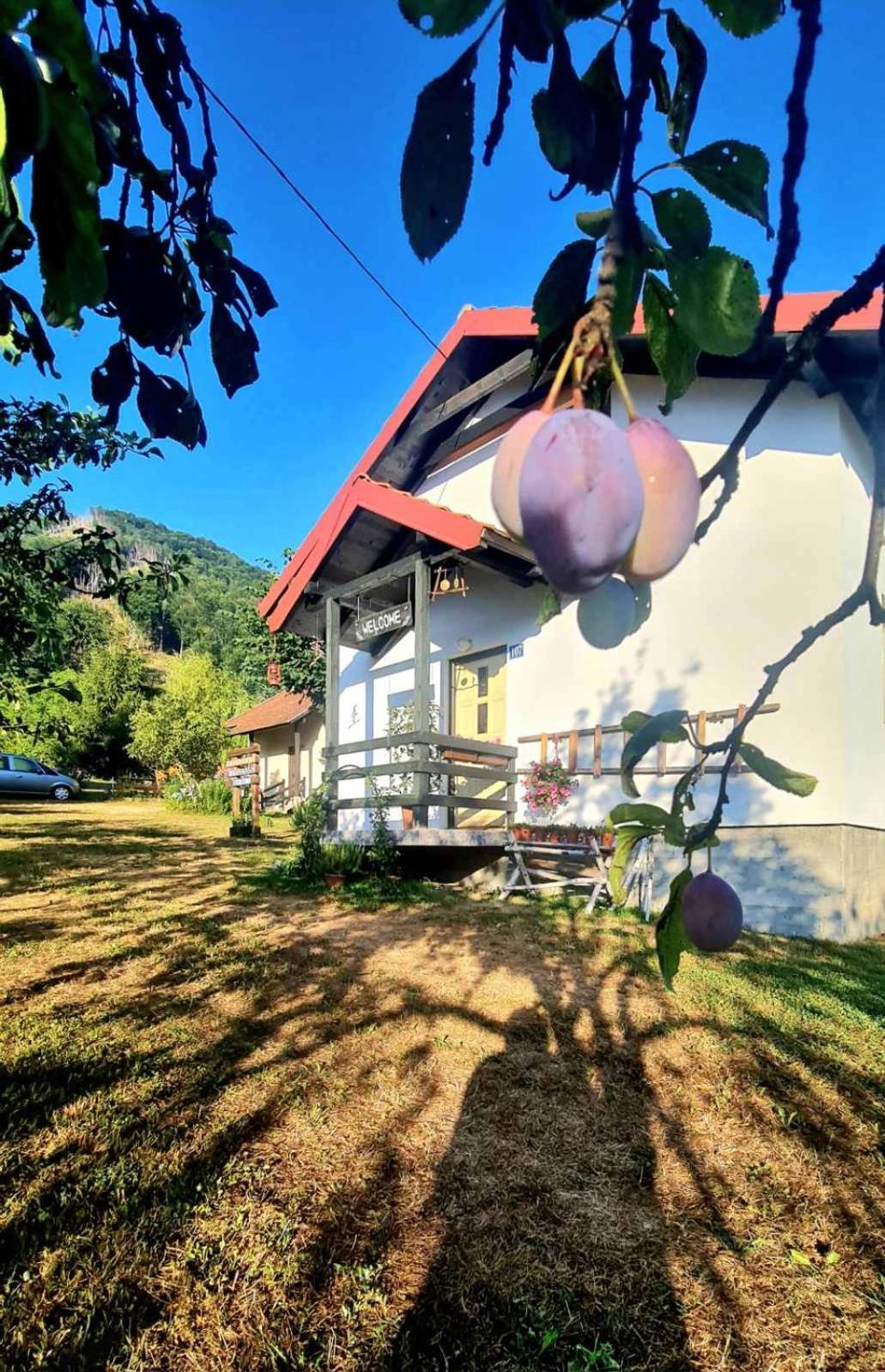 Kosta'S Romantic House Plav Eksteriør billede